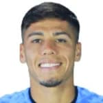 Pedro Navarro Castillo