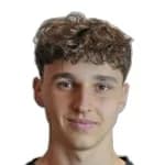Edin Omerovic