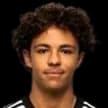 Ryan Rodriguez German