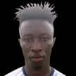 Stephen Amankona