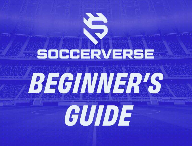 Your Beginner’s Guide is Here